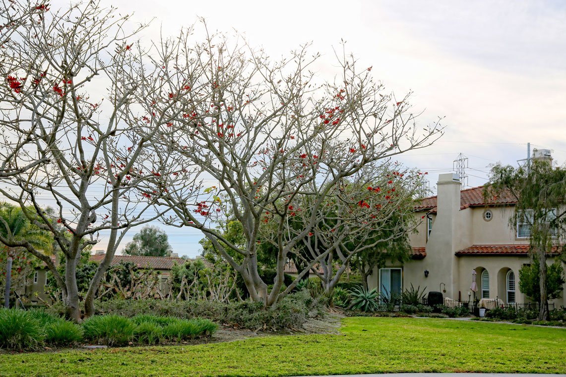 Work Image